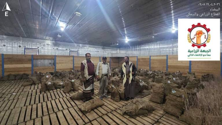 البيضاء.. جمعية ذي ناعم تتسلم طناً من بذور البطاطس لدعم الإنتاج الزراعي