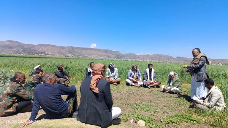 إب.. تشكيل مجاميع إنتاجية جديدة في يريم