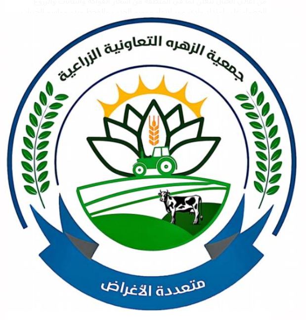 جمعية الزهرة التعاونية تسوق 14 طناً من محصول الذرة الشامية