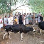 فريق تنموي من أربع مديريات يختتم زيارته لجمعيات ساحل تهامة