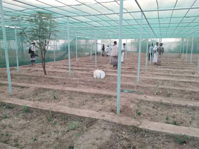 حجة.. اجتماع يناقش خطة تطوير المشتل الزراعي والاطلاع على إعادة تأهيل الحراثات في مديرية بني قيس