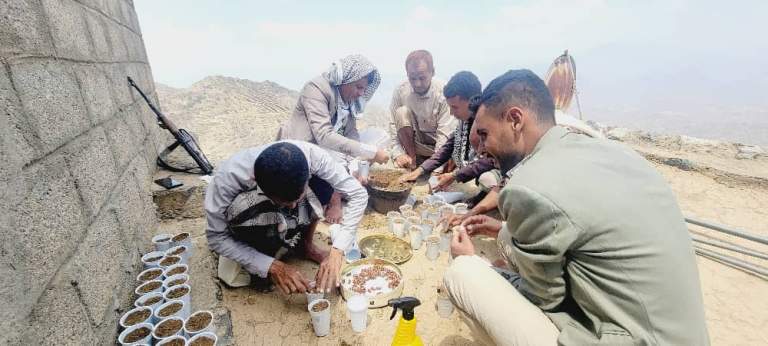 مدير مديرية وضرة بحجة يدشن زراعة بذور النخيل تعزيزاً للانتاج المحلي