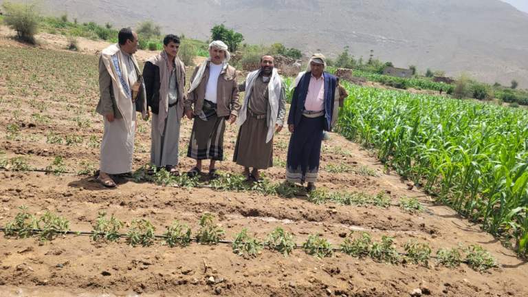 جمعية إكتفاء بضوران تطلع على سير العمل بالمجاميع الإنتاجية في قاع الحقل