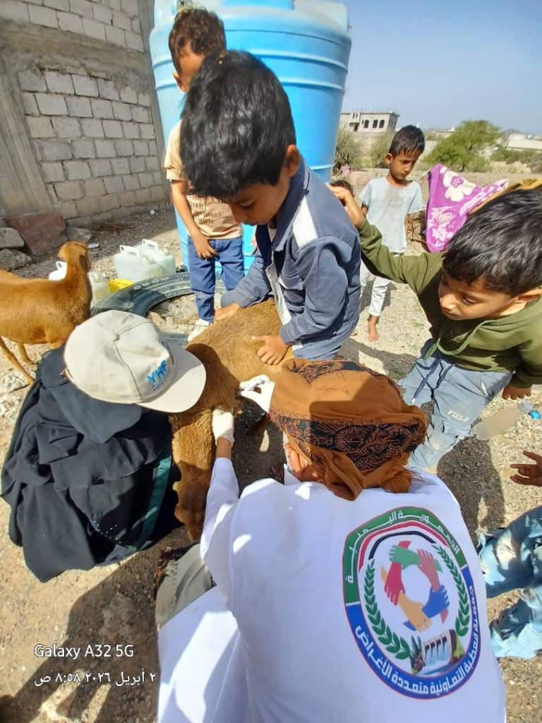 حملة بيطرية لمعالجة 2356 رأسًا من الثروة الحيوانية بمديرية قعطبة