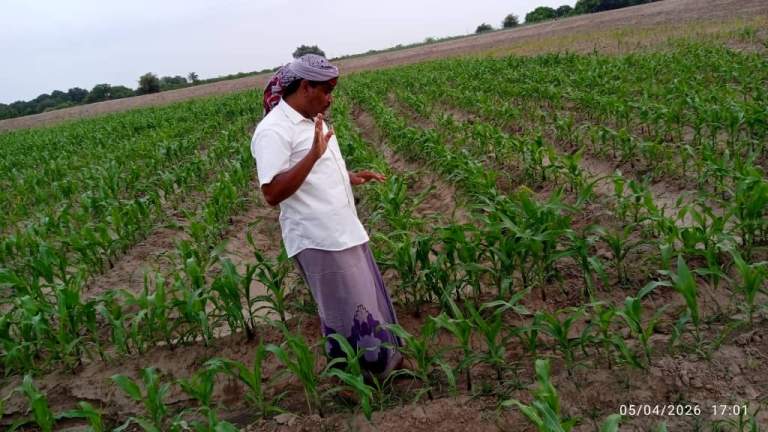 جمعية زبيد التعاونية تتفقد مزارعي الذرة الشامية وفول الصويا في عزلة الحمى