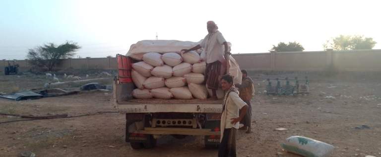 حجة.. جمعية عبس التعاونية تعلن نجاح أول تجربة لزراعة فول الصويا