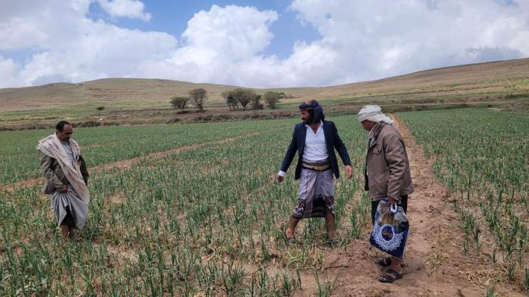زيارة ميدانية للارتقاء بإنتاجية محصول البصل واستكمال بيانات المزارعين في يريم