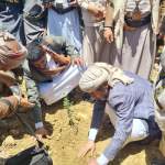 عمران.. تدشين توزيع 2700 شتلة لوز بمبادرة مجتمعية بمديرية ريدة عمران.. تدشين توزيع 2700 شتلة لوز بمبادرة مجتمعية بمديرية ريدة