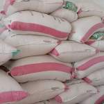 جمعية بيت الفقيه التعاونية تستعد لتسويق 40 طناً من الذرة الشامية جمعية بيت الفقيه التعاونية تستعد لتسويق 40 طناً من الذرة الشامية