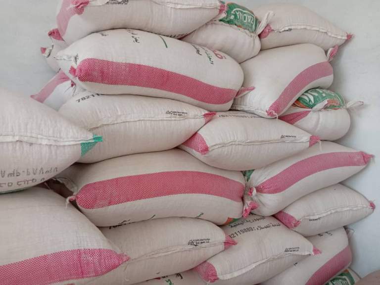 جمعية بيت الفقيه التعاونية تستعد لتسويق 40 طناً من الذرة الشامية