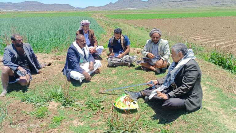 توثيق الممارسات الزراعية لسلسلة البصل ومناقشة تحديات الإنتاج في يريم