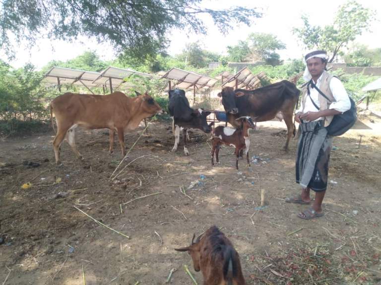 جمعية زبيد التعاونية تتابع معالجة أضرار السيول ومشاريع التمكين الاقتصادي