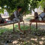 جمعية الجراحي التعاونية تنفذ نزولاً ميدانياً لمتابعة المزارعين في عزلة المعاصلة