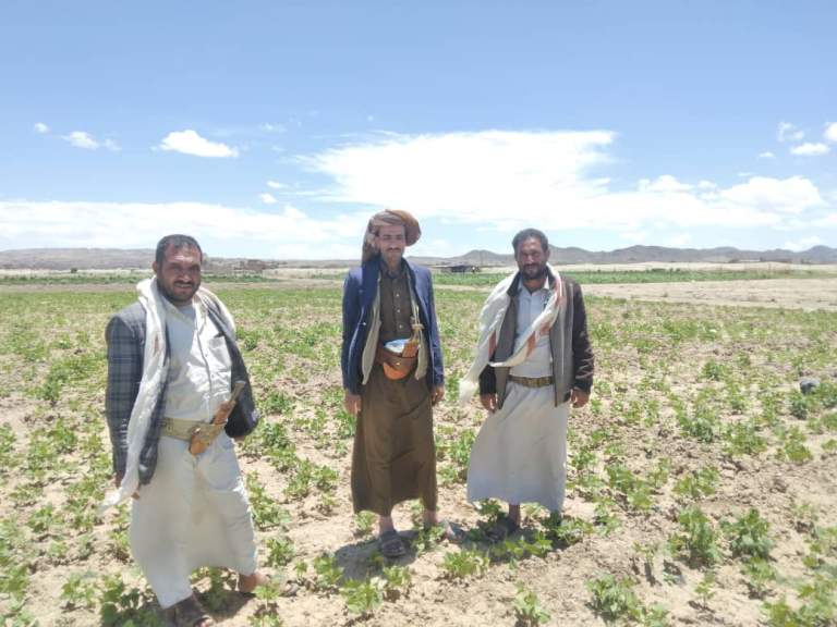 جمعية قاع جهران تُنفذ زيارة تفقدية لحقول محصول الفاصوليا بالمنطقة