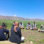 إب.. تشكيل مجاميع إنتاجية جديدة في يريم