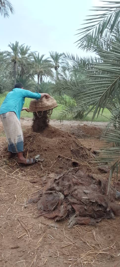 جمعية الدريهمي تدرب مزارعي النخيل على إنتاج الكومبوست وتتابع تركيب منظومات شمسية للري
