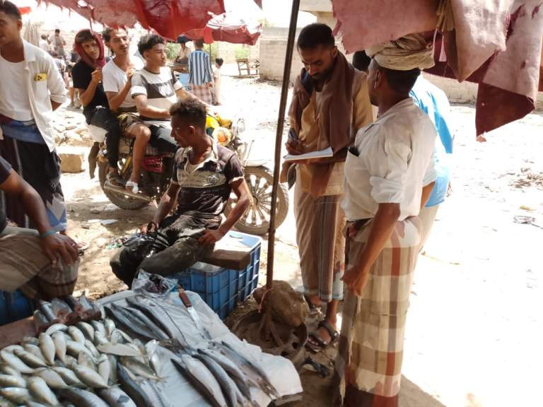 نزول ميداني لمسح وحصر قاعدة بيانات سوق السمك بمديرية المنصورية