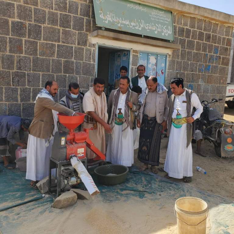 تدشين حصاد محصول الأرز في مديرية المغربة بحجة