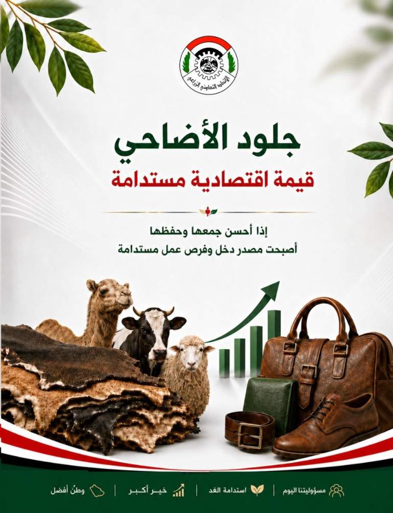 جلود الأضاحي ليست مجرد بقايا، بل ثروة وطنية يمكن أن تتحول إلى منتجات جلدية راقية (أحذية، حقائب، محافظ) وتفتح أبواب رزق جديدة للشباب.
