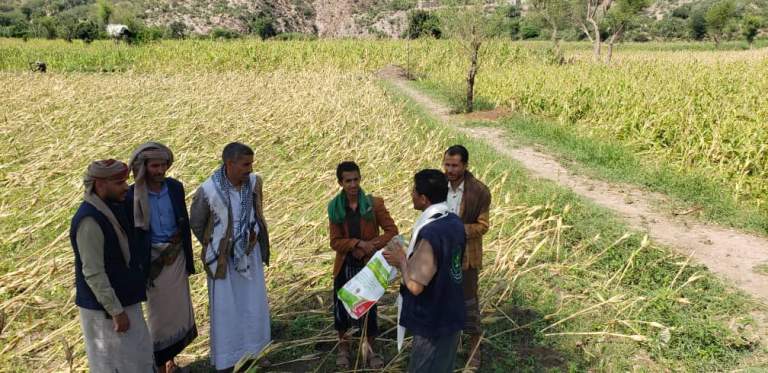 توقيع عقود لتوفير سبعة أطنان من محصول الذرة الشامية بمديرية جبل الشرق بذمار
