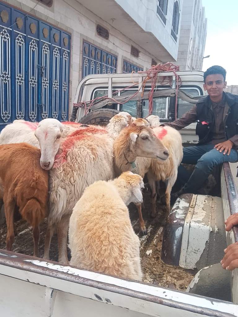 جمعية القريشية تدشن المرحلة الأولى من مشروع التمكين الاقتصادي