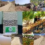 الجمعيات التعاونية الزراعية بذمار.. ثورة تنموية لتحقيق الاكتفاء الذاتي