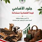 جلود الأضاحي ليست مجرد بقايا، بل ثروة وطنية يمكن أن تتحول إلى منتجات جلدية راقية (أحذية، حقائب، محافظ) وتفتح أبواب رزق جديدة للشباب.
