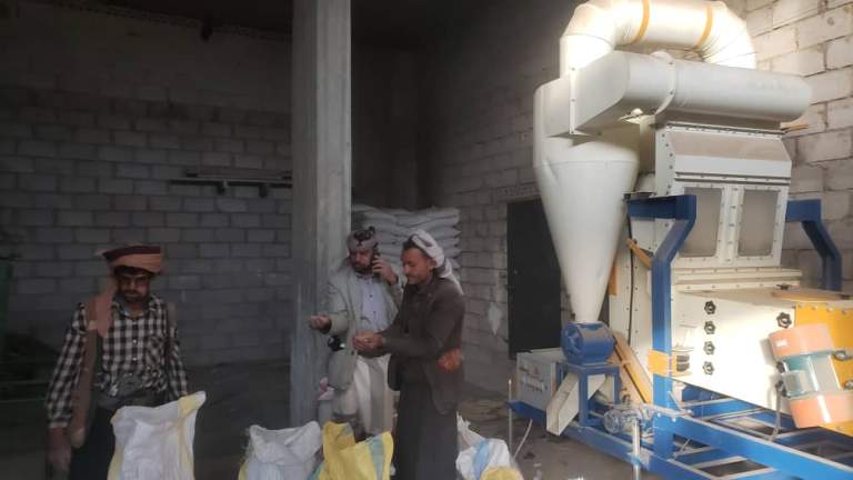 الجمعية النموذجية بيريم تدشن غربلة محصول القمح مجاناً تشجيعاً للمزارعين