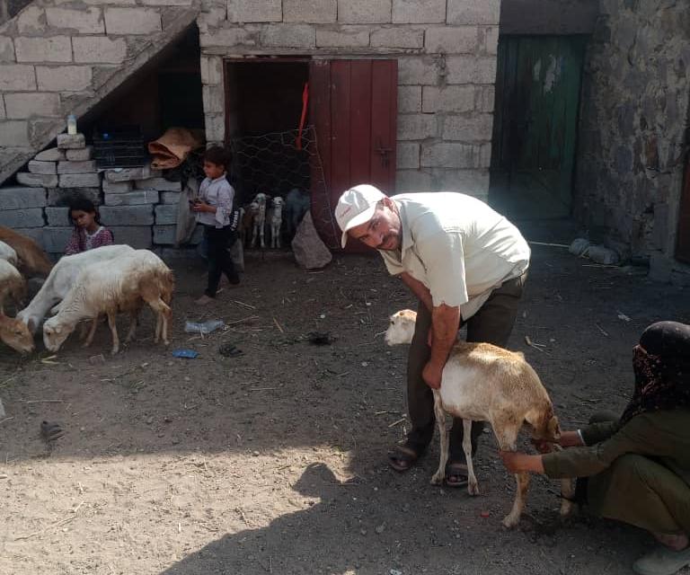 جمعية المنار تنفذ حملة إرشادية وبيطرية لحماية المحاصيل والثروة الحيوانية