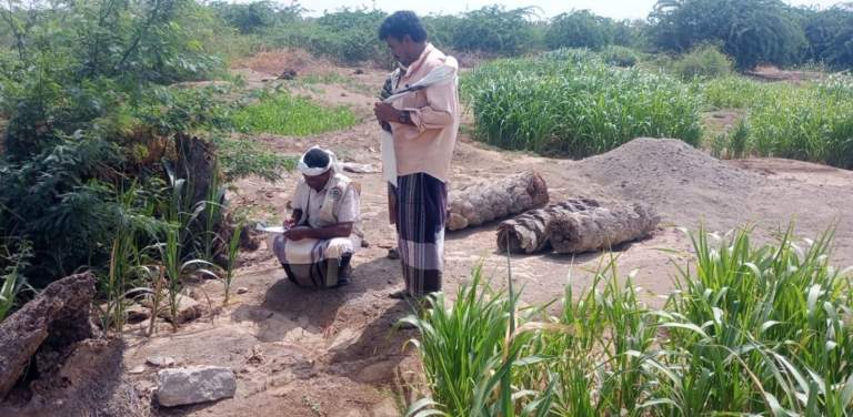 الحديدة.. جمعية بيت الفقيه تتابع سير العمل بمشروع التمكين الاقتصادي المرحلة الثانية