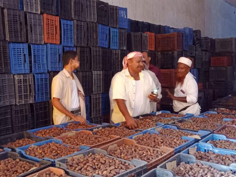 الحديدة ـ جمعية البلدة الطيبة بالتحيتا تعلن نجاح تسويق عشرة أطنان من التمور المجففة