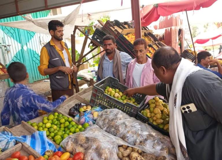 المحويت.. جمعية الخبت التعاونية الزراعية ترفد الأسواق المحلية بمحصول الجوافة من وادي سماع