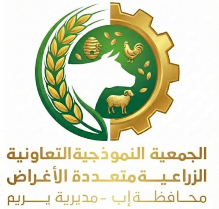 إب.. اجتماع تنموي موسع بمديرية يريم لمناقشة تفعيل الجمعية وبرامج التمكين