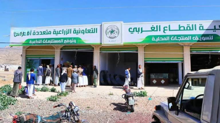 الجمعيات التعاونية الزراعية في محافظة صنعاء.. ذراع التنمية المستدامة وركيزة الأمن الغذائي