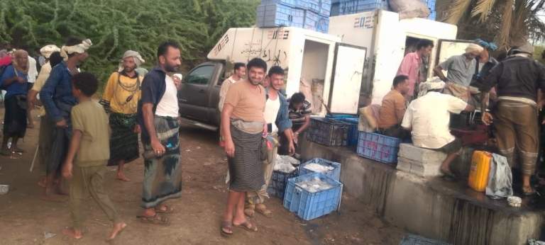 الحديدة ـ انطلاق موسم صيد الحبار في منطقة الطائف بمديرية الدريهمي