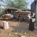 الحديدة ـ الجمعيات التعاونية الزراعية تنفذ نزولات ميدانية لحصر النحالين وتحديث بياناتهم