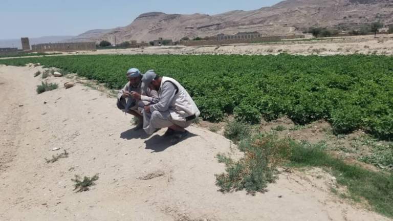 جمعية ريدة تنفذ نزولاً ميدانياً لتعزيز العلاقة مع المزارعين وتطوير آليات الزراعة التعاقدية